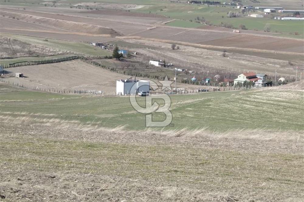 İmar Sınırında Tek Tapu Satılık Yatırımlık Arsa