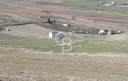 İmar Sınırında Tek Tapu Satılık Yatırımlık Arsa