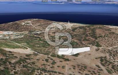 YeniFoça-Atatürk Yatırımlık K.yolu Ve Full Deniz Manzaralı Tarla
