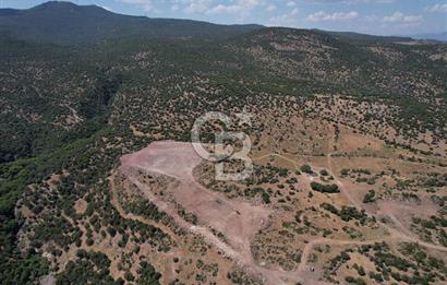 DOĞAYLA BÜTÜNLEŞEN MUHTEŞEM DENİZ MANZARALI ARSA VE BAHÇE