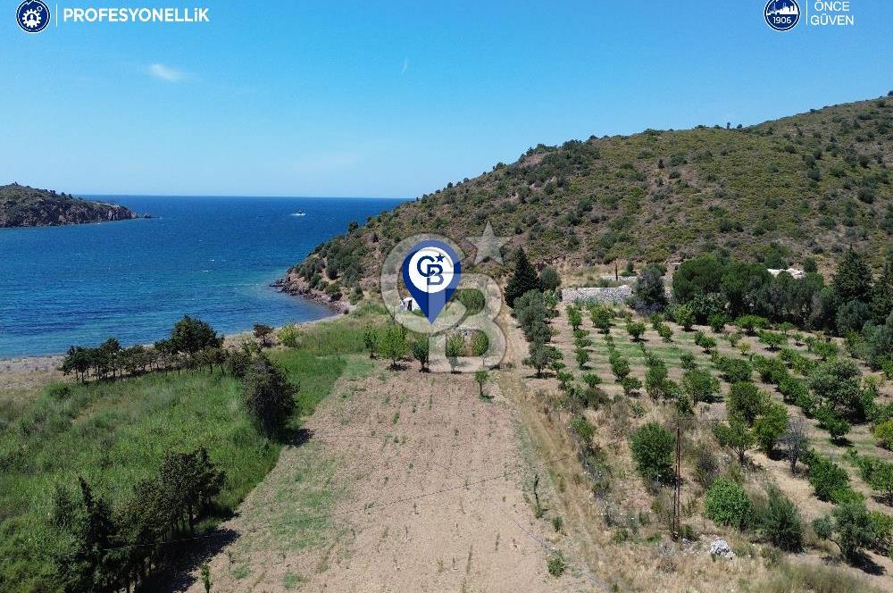 Karaburun Küçükbahçe'de 1466 m2 Denize Sıfır Tarla