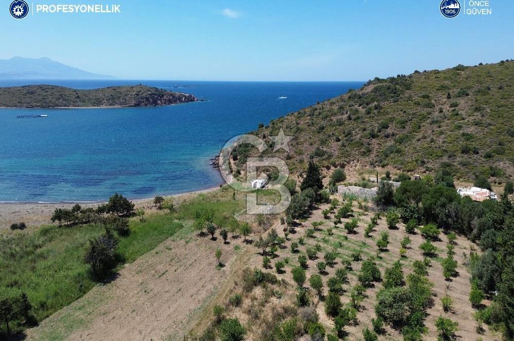 Karaburun Küçükbahçe'de 1466 m2 Denize Sıfır Tarla