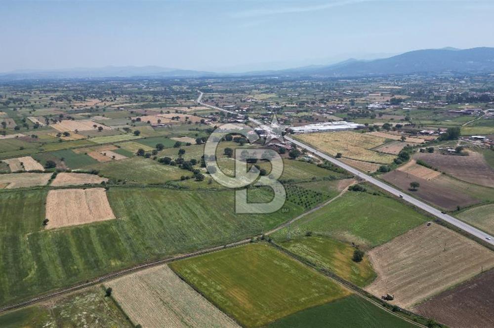 ÇANAKKALE EZİNE BAYRAMİÇ YOLU ÜZERİNDE 14,850 m²﻿ SATILIK ARAZİ