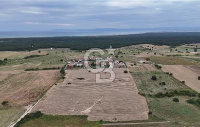 Edirne/Enez/Sultaniçe'de Satılık Tarla