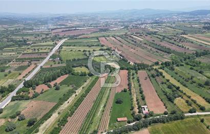 ÇANAKKALE BAYRAMİÇ'TE ANAYOLA YAKIN 8000 m²﻿ SATILIK ARAZİ VE EV