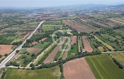 ÇANAKKALE BAYRAMİÇ'TE ANAYOLA YAKIN 8000 m²﻿ SATILIK ARAZİ VE EV