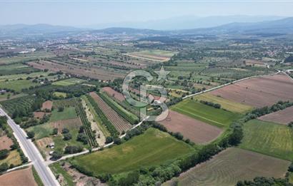 ÇANAKKALE BAYRAMİÇ'TE ANAYOLA YAKIN 8000 m²﻿ SATILIK ARAZİ VE EV