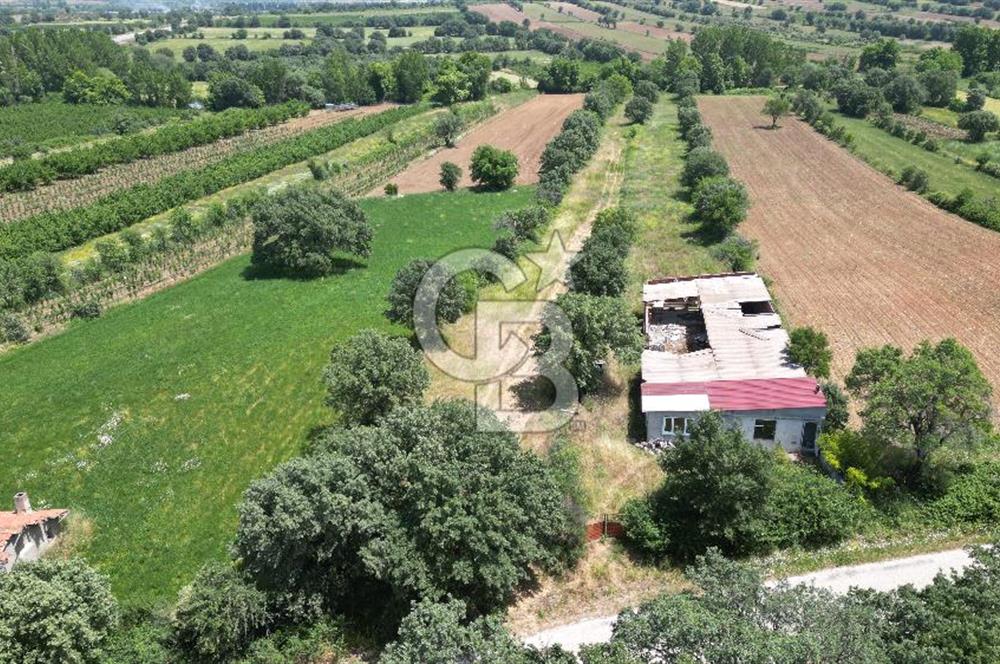 ÇANAKKALE BAYRAMİÇ'TE ANAYOLA YAKIN 8000 m²﻿ SATILIK ARAZİ VE EV