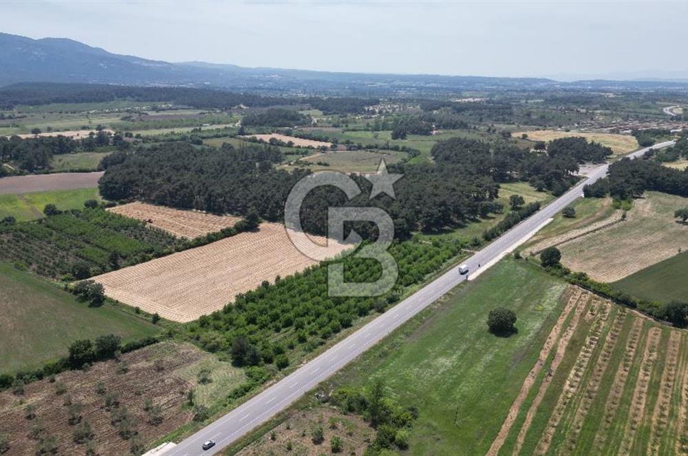 ÇANAKKALE EZİNE - BAYRAMİÇ YOLU ÜZERİNDE 8,550 m²﻿ SATILIK ARAZİ