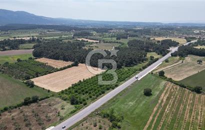 ÇANAKKALE EZİNE - BAYRAMİÇ YOLU ÜZERİNDE 8,550 m²﻿ SATILIK ARAZİ