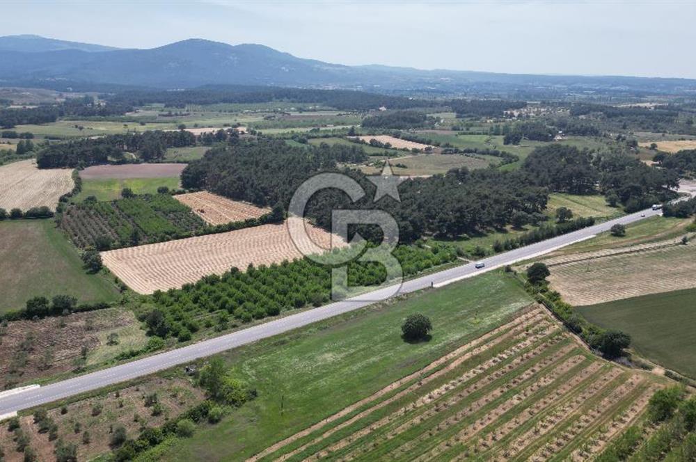 ÇANAKKALE EZİNE - BAYRAMİÇ YOLU ÜZERİNDE 8,550 m²﻿ SATILIK ARAZİ