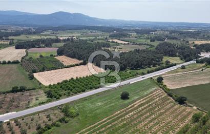 ÇANAKKALE EZİNE - BAYRAMİÇ YOLU ÜZERİNDE 8,550 m²﻿ SATILIK ARAZİ