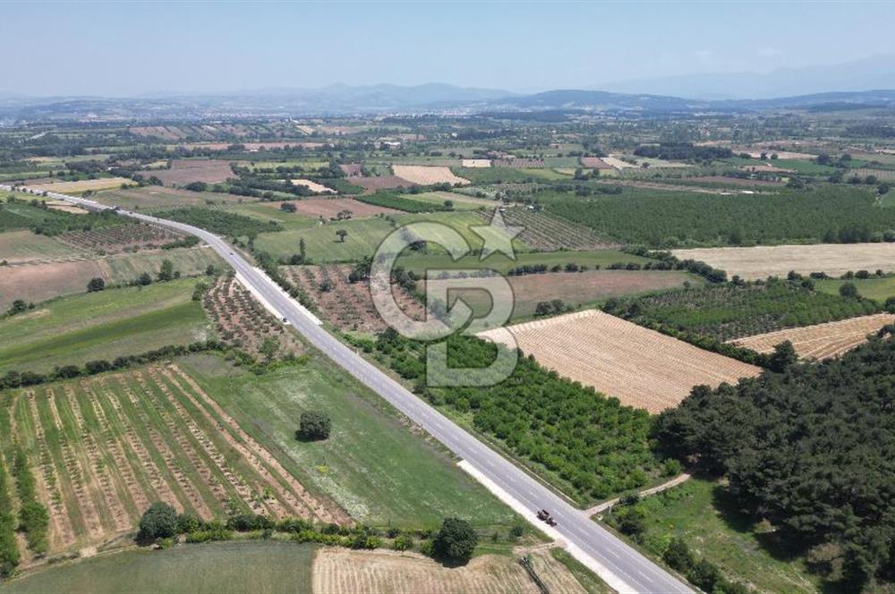 ÇANAKKALE EZİNE - BAYRAMİÇ YOLU ÜZERİNDE 8,550 m²﻿ SATILIK ARAZİ