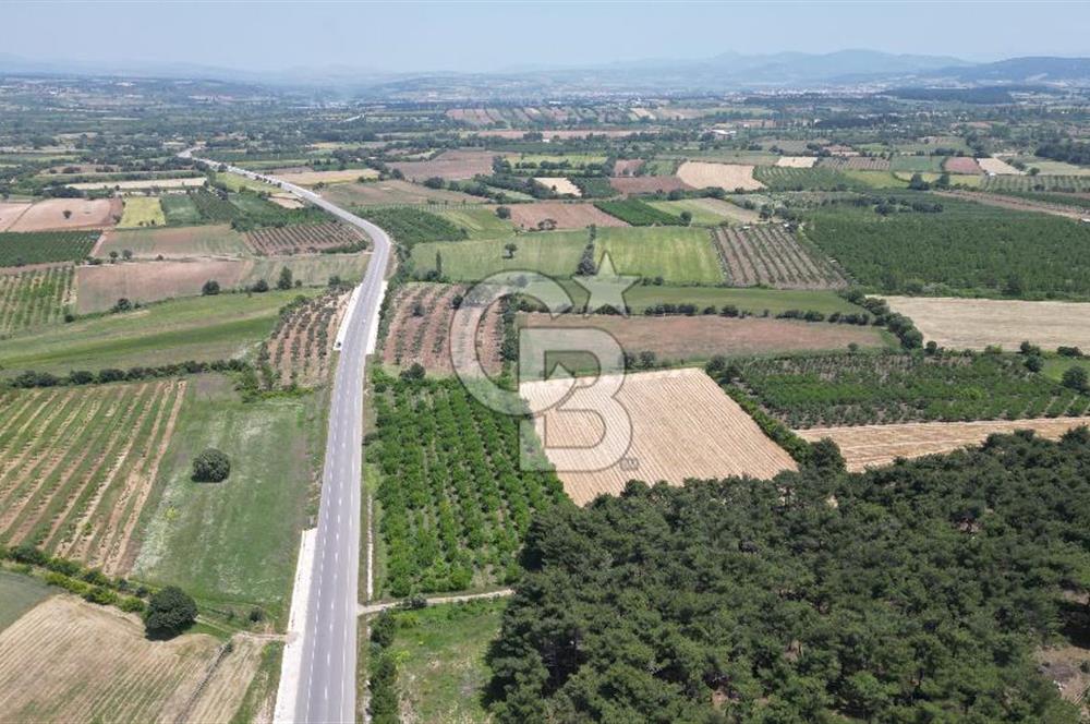 ÇANAKKALE EZİNE - BAYRAMİÇ YOLU ÜZERİNDE 8,550 m²﻿ SATILIK ARAZİ