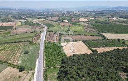 ÇANAKKALE EZİNE - BAYRAMİÇ YOLU ÜZERİNDE 8,550 m²﻿ SATILIK ARAZİ