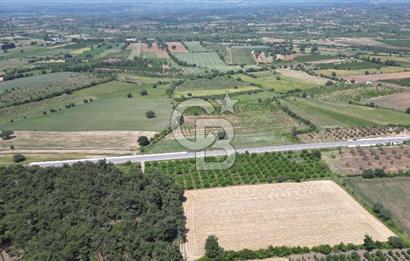 ÇANAKKALE EZİNE - BAYRAMİÇ YOLU ÜZERİNDE 8,550 m²﻿ SATILIK ARAZİ