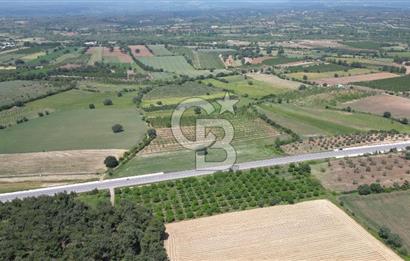 ÇANAKKALE EZİNE - BAYRAMİÇ YOLU ÜZERİNDE 8,550 m²﻿ SATILIK ARAZİ