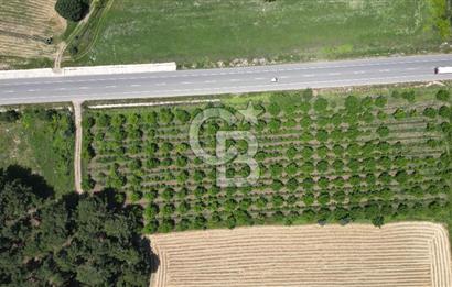 ÇANAKKALE EZİNE - BAYRAMİÇ YOLU ÜZERİNDE 8,550 m²﻿ SATILIK ARAZİ