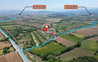 ÇANAKKALE BAYRAMİÇ'TE ANAYOLA YAKIN 8000 m²﻿ SATILIK ARAZİ VE EV