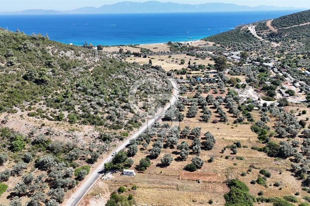 BODRUM KIZILAĞAÇ DENİZE YAKIN 967M2 TARLA YOLA SIFIR YAPI YAPILABİLİR