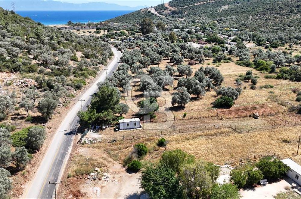 BODRUM KIZILAĞAÇ DENİZE YAKIN 967M2 TARLA YOLA SIFIR YAPI YAPILABİLİR