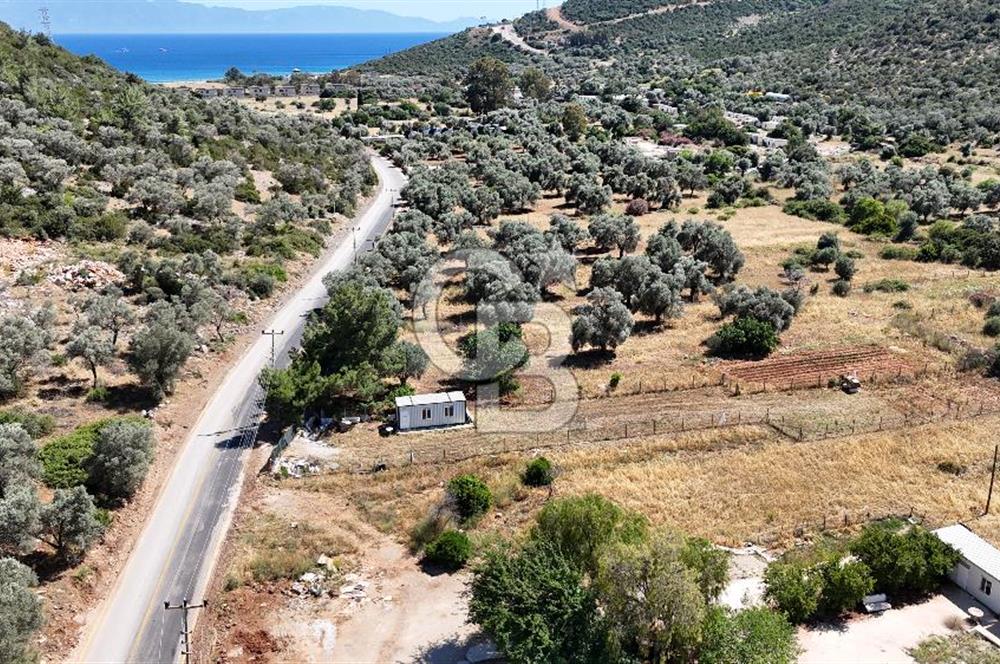 BODRUM KIZILAĞAÇ DENİZE YAKIN 967M2 TARLA YOLA SIFIR YAPI YAPILABİLİR