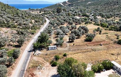 BODRUM KIZILAĞAÇ DENİZE YAKIN 967M2 TARLA YOLA SIFIR YAPI YAPILABİLİR