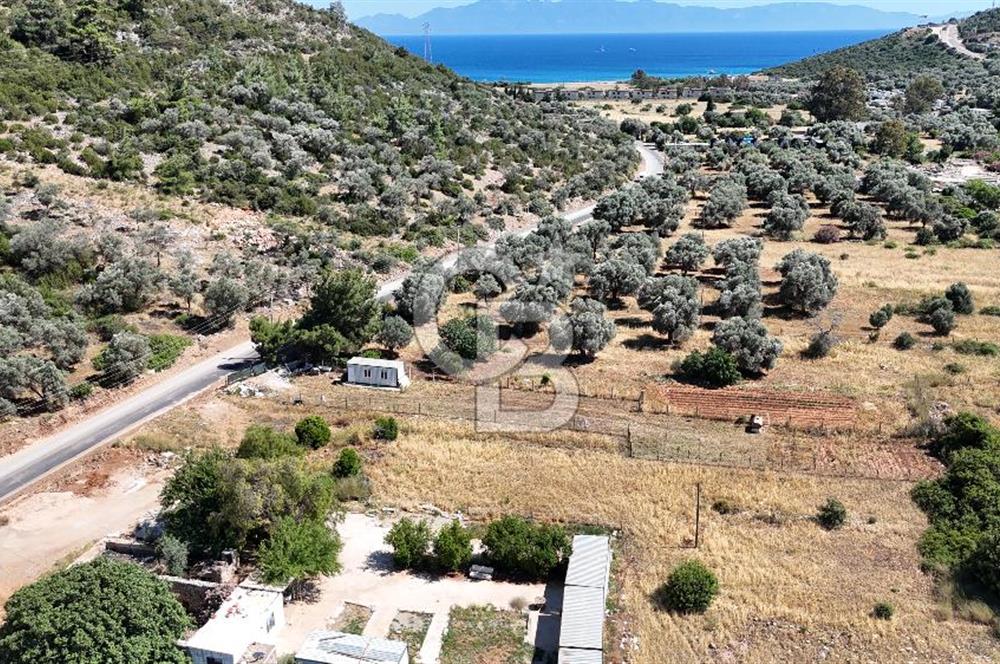 BODRUM KIZILAĞAÇ DENİZE YAKIN 967M2 TARLA YOLA SIFIR YAPI YAPILABİLİR