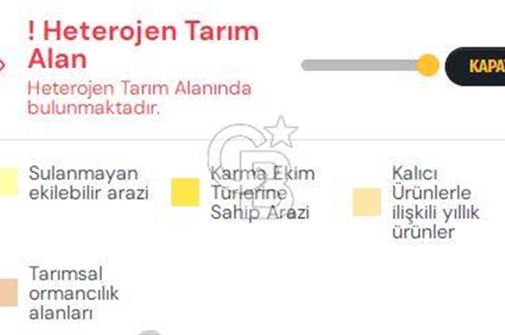 Keles Belenören ' de HETEROJEN TARIM ALANINDA SATILIK TARLA