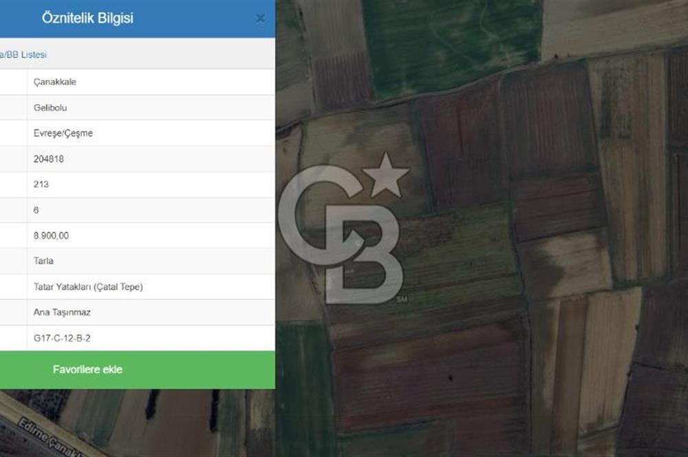 CB KOBİ'den GELİBOLU-EVREŞE'de SATILIK KADASTRAL YOLA CEPHELİ 8900m2 TARLA