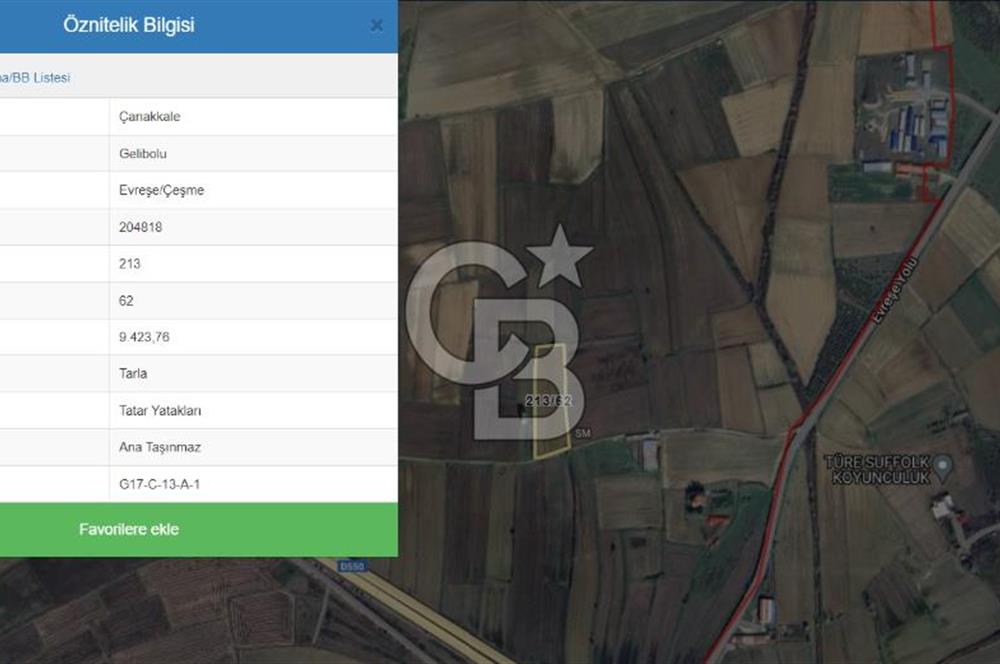CB KOBİ'den GELİBOLU EVREŞE'de KADASTRAL YOLA CEPHELİ 9423m2 SATILIK TARLA