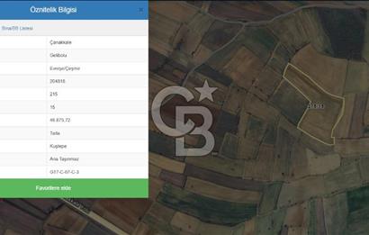 CB KOBİ'den GELİBOLU EVREŞE'de CEPHELİ 48.875m2 SATILIK TARLA