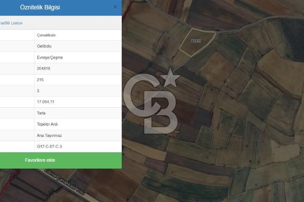 CB KOBİ'den GELİBOLU EVREŞE'de KADASTRAL YOLA CEPHELİ 17.064m2 SATILIK TARLA