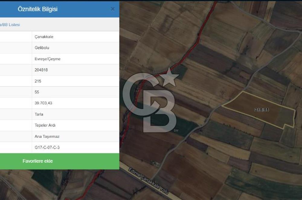 CB KOBİ'den GELİBOLU EVREŞE'de KADASTRAL YOLA CEPHELİ 39.703m2 SATILIK TARLA