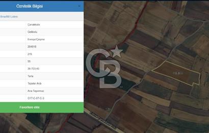 CB KOBİ'den GELİBOLU EVREŞE'de KADASTRAL YOLA CEPHELİ 39.703m2 SATILIK TARLA