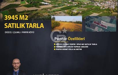 COLDWELL BANKER REFERANS DÜZCE ÇİLİMLİ PIRPIR  3945 M2 SATILIK TARLA