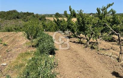 ÇANAKKALE LAPSEKİ KOCAVELİ KÖYÜNDE KÖPRÜ MANZARALI SATILIK ŞEFTALİ BAHÇESİ