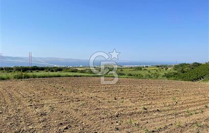 ÇANAKKALE LAPSEKİ KOCAVELİ KÖYÜNDE KÖPRÜ MANZARALI SATILIK ŞEFTALİ BAHÇESİ