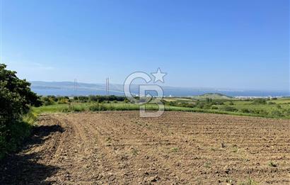 ÇANAKKALE LAPSEKİ KOCAVELİ KÖYÜNDE KÖPRÜ MANZARALI SATILIK ŞEFTALİ BAHÇESİ