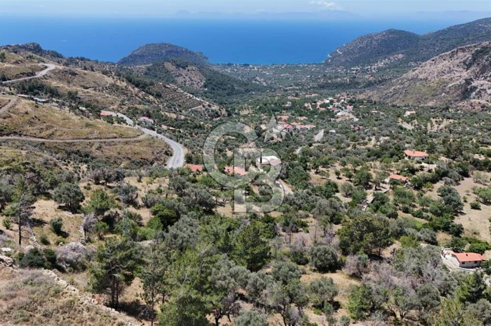 DATÇA MESUDIYE FIELD WITH SEA VIEW