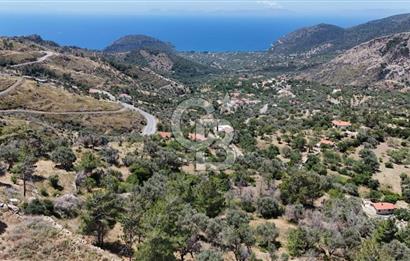 DATÇA MESUDIYE FIELD WITH SEA VIEW