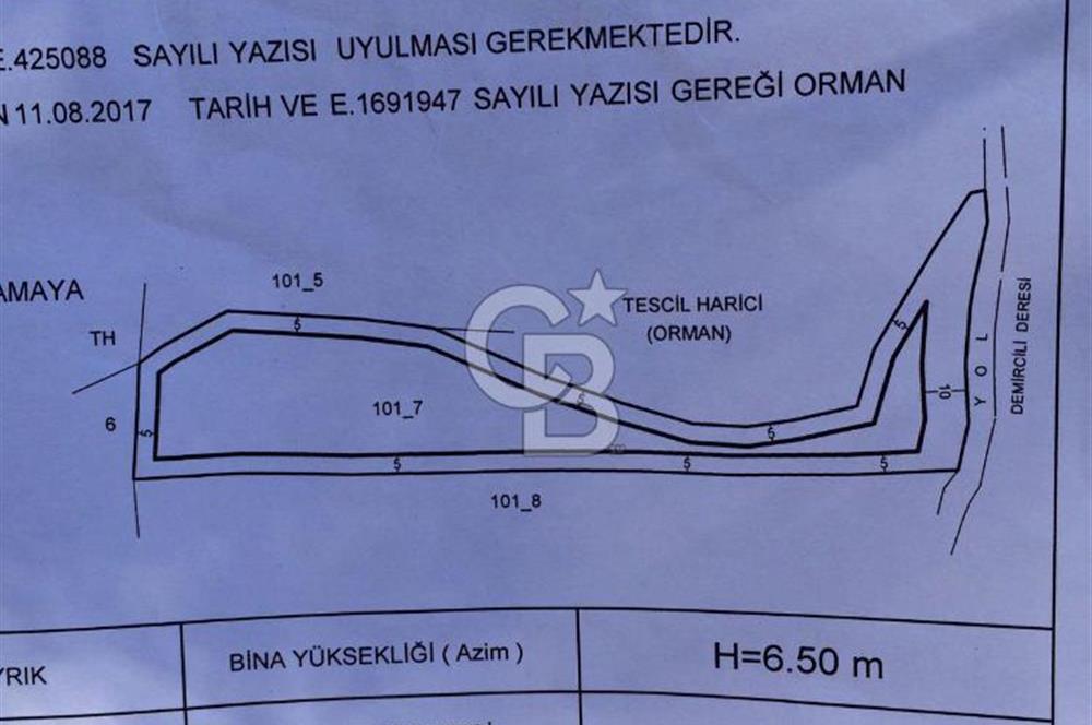 Urla Demircili köyünde satılık zeytinlik