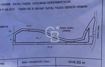 Urla Demircili köyünde satılık zeytinlik