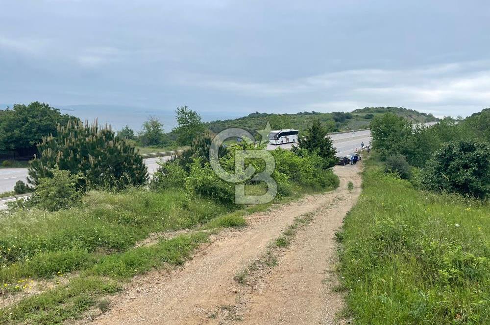 LAPSEKİ GÜRECİ KÖYÜNDE ÇANAKKALE BURSA OTOYOLUNA CEPHELİ SATILIK ARAZİ