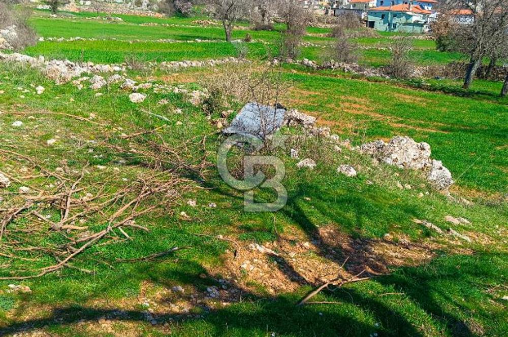 MUĞLA MENTEŞE KIRAN MAH.KÖY İÇİ İMARLI TARLA 