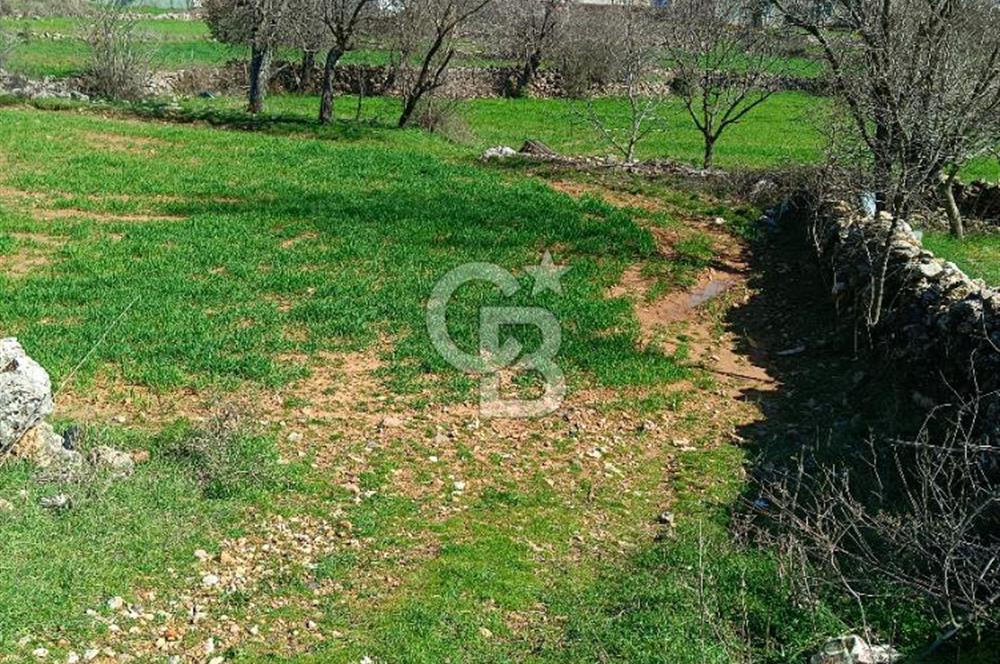 MUĞLA MENTEŞE KIRAN MAH.KÖY İÇİ İMARLI TARLA 