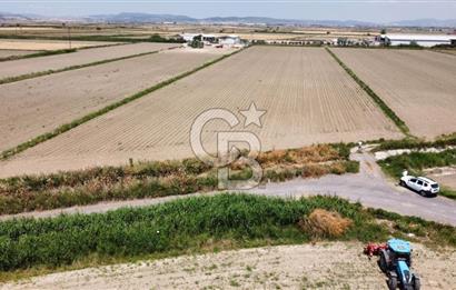 SEYREK 18.497 M2 YÜKSEK VERİMLİ TARIM ARAZİSİ