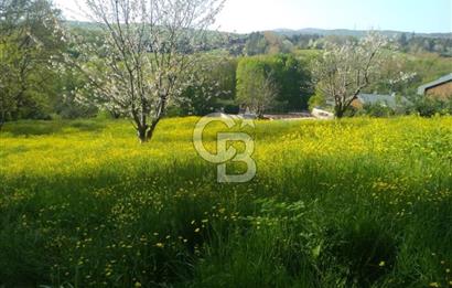 Polonezköy Merkez İmarlı Arsa