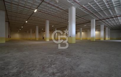 Esenyurt Akçaburgaz'da 4.768 M² Kiralık Fabrika