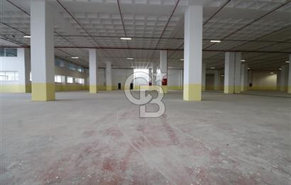 Esenyurt Akçaburgaz'da 4.768 M² Kiralık Fabrika